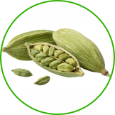Cardamom
