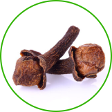 Cloves