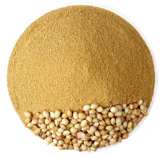 Coriander Seeds and Powder
