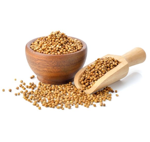 Coriander Seeds and Powder