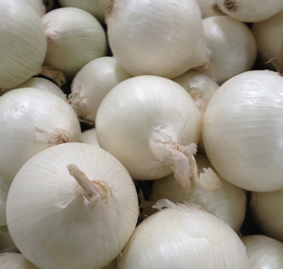 White Onion