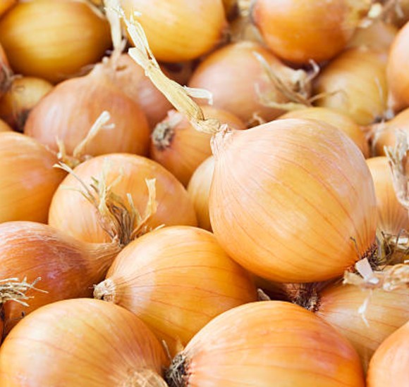 Yellow Onion